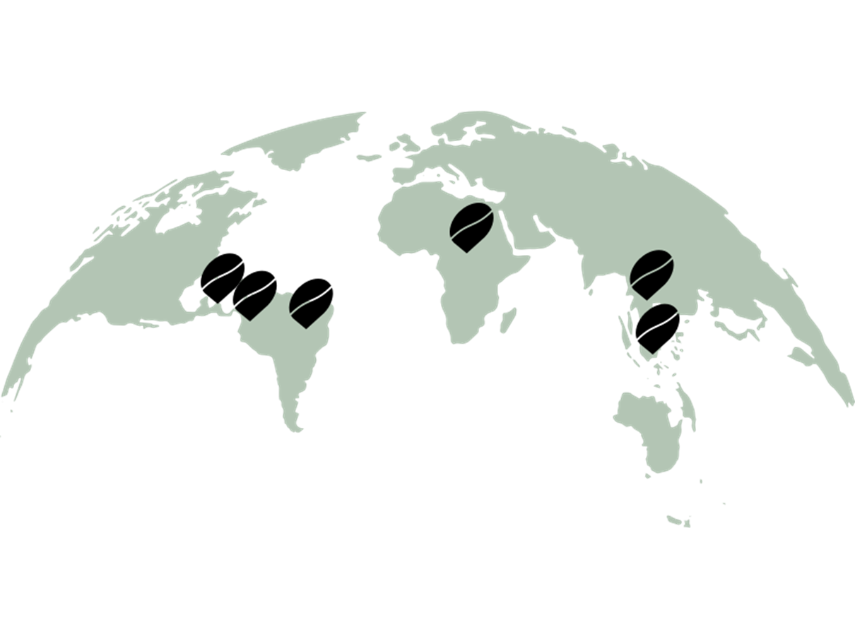 Insight into origin, transport, and production of the coffee beans