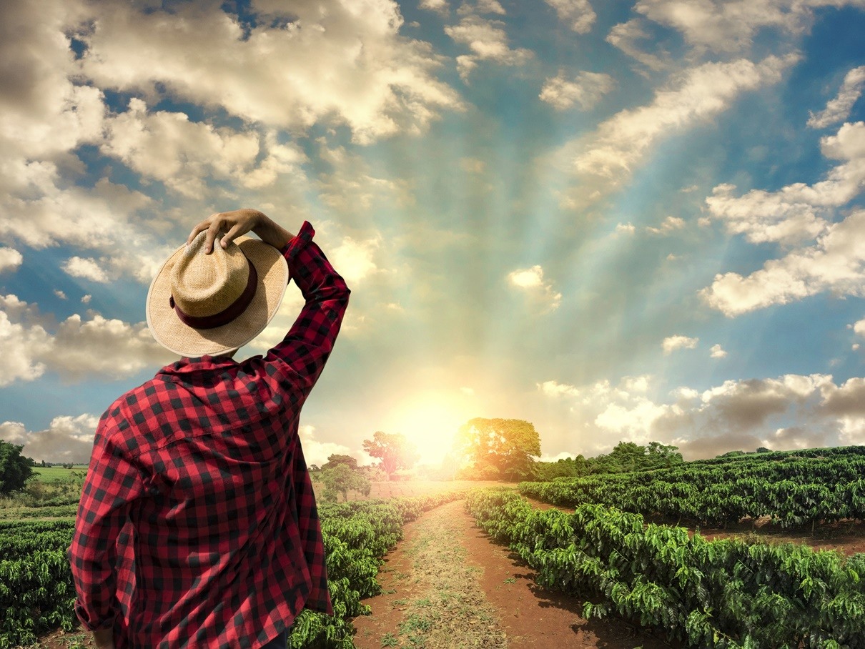 The coffee sector needs renewal