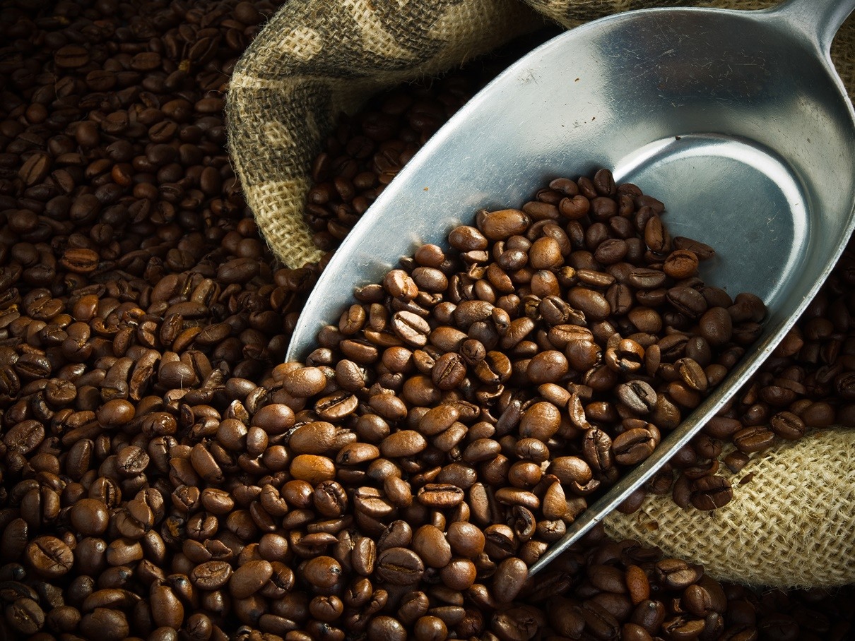 Purchasing from cooperatives across the coffee belt